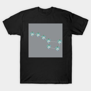 Big Dipper T-Shirt